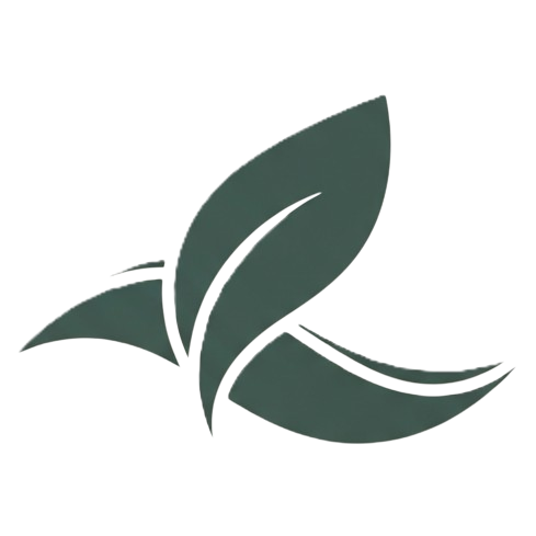 Rejuvenation Journey